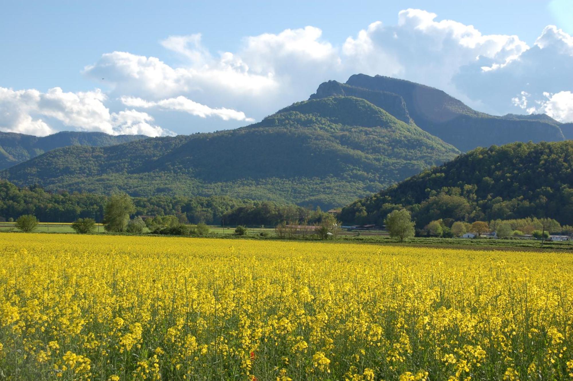 Casa Rural Mas Garganta La Pinya Esterno foto