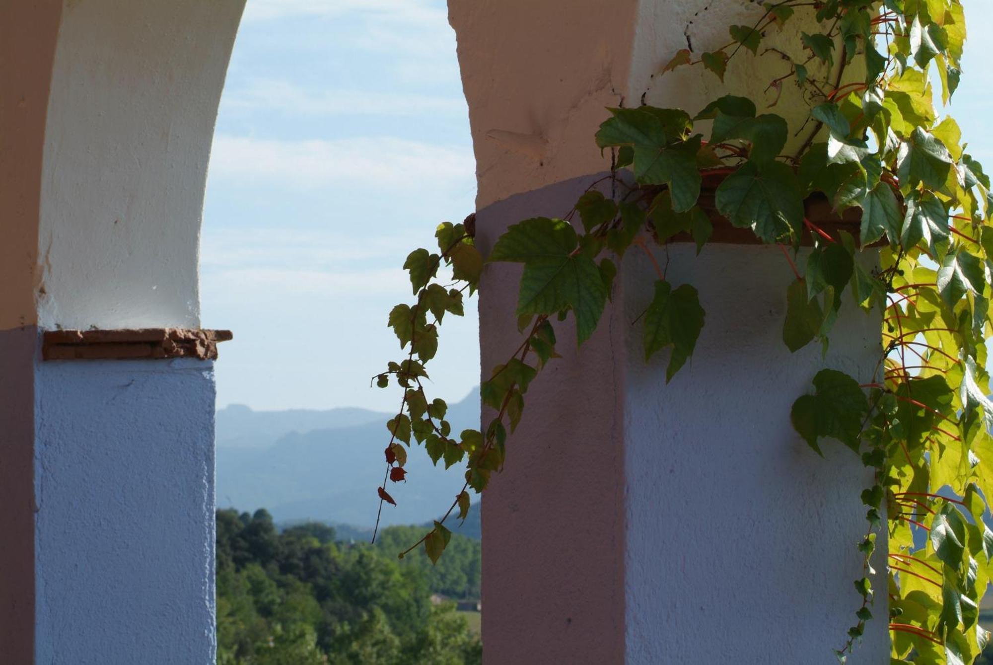 Casa Rural Mas Garganta La Pinya Esterno foto